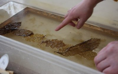 Ateliers itinérants