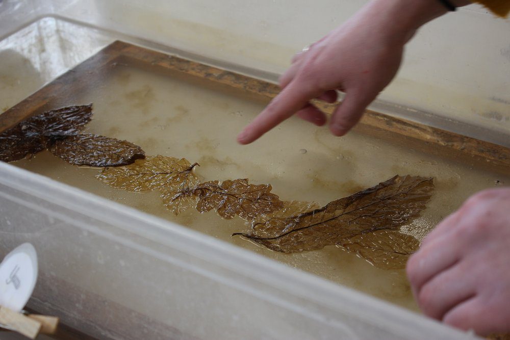 Ateliers itinérants