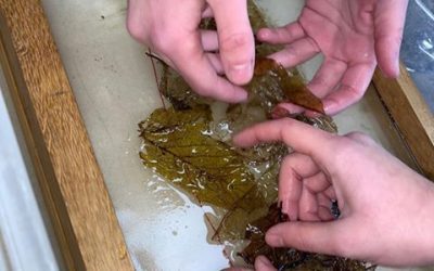 Le temps d&rsquo;attendre… A l&rsquo;image de nos différences.