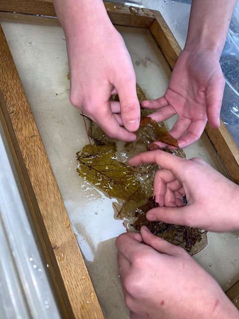 Le temps d’attendre… A l’image de nos différences.