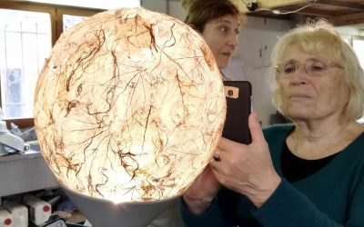 Retour de stage Volume et lumière en dentelles végétales